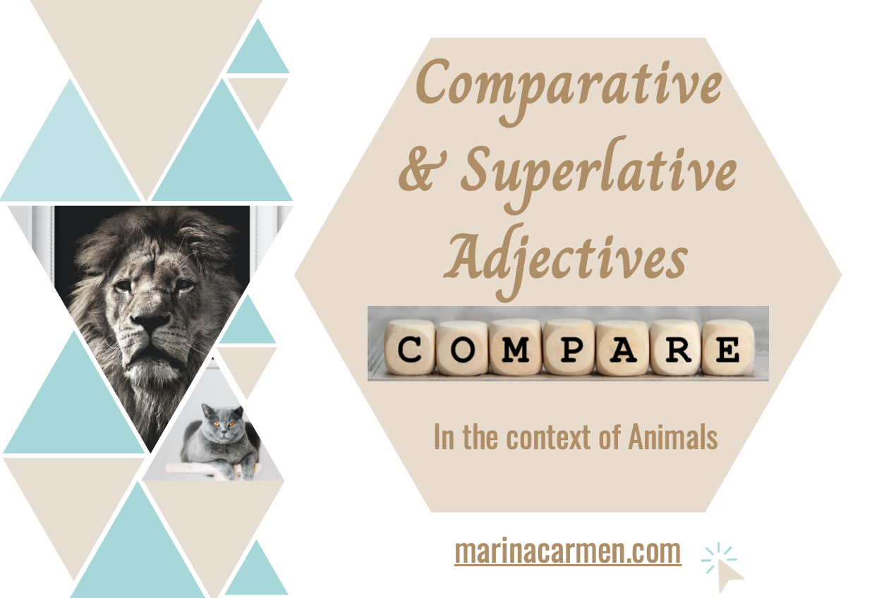 Comparative and Superlative Adjectives