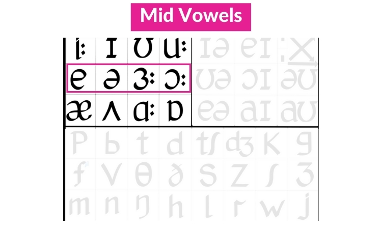 Mid Vowels